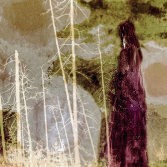 RENAISSANCE DE LA FORÊT